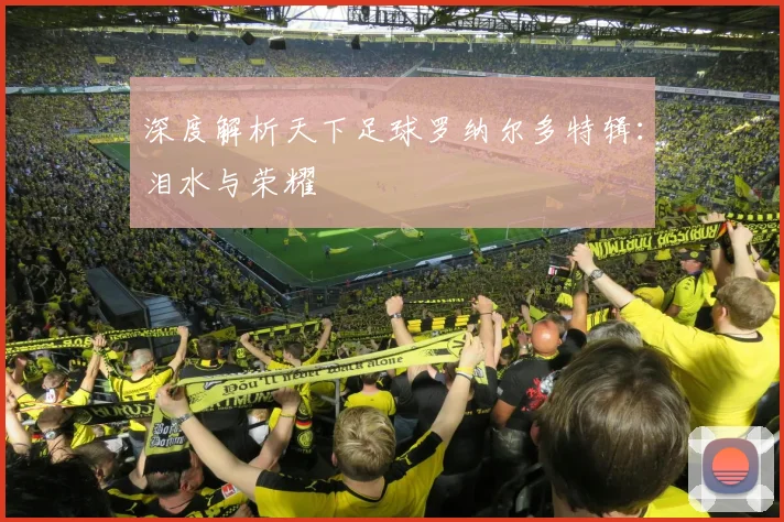深度解析天下足球罗纳尔多特辑：泪水与荣耀